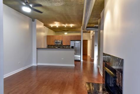 1305 South Michigan Avenue Chicago IL 60605