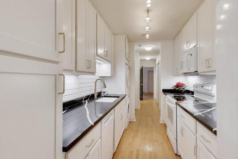 1402 North Lasalle Drive Chicago IL 60610
