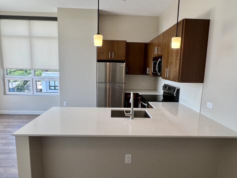 703 Madison Street Oak Park IL 60302