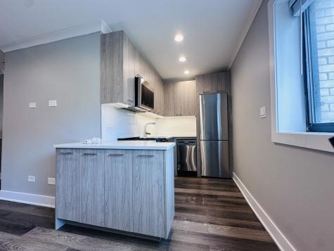 541 West Oakdale Avenue Chicago IL 60657