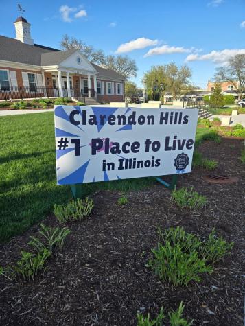 143 Ann Street Clarendon Hills IL 60514