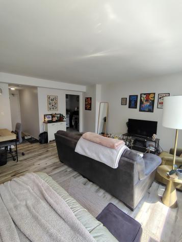 1150 North Lake Shore Drive Chicago IL 60611