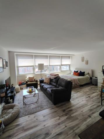 1150 North Lake Shore Drive Chicago IL 60611