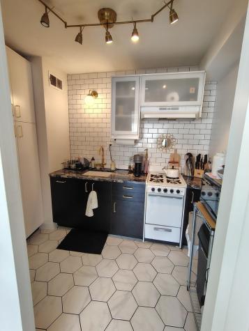 1150 North Lake Shore Drive Chicago IL 60611