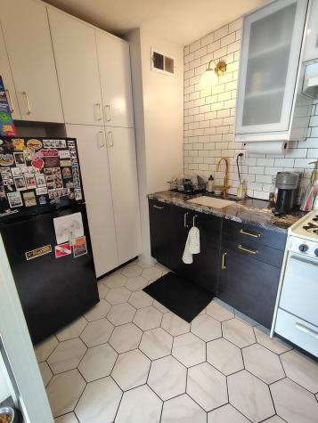 1150 North Lake Shore Drive Chicago IL 60611