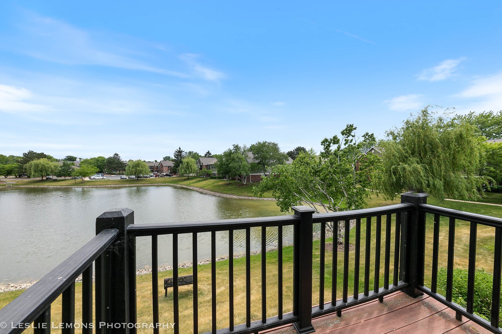 1316 Mcdowell Road Naperville IL 60563