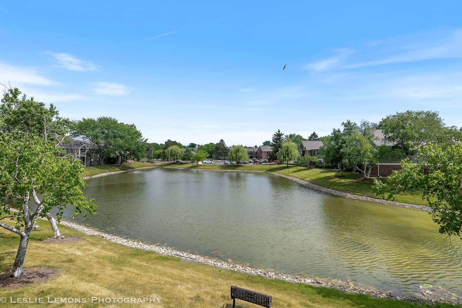 1316 Mcdowell Road Naperville IL 60563