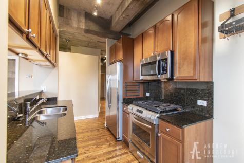 1069 West 14th Place Chicago IL 60608