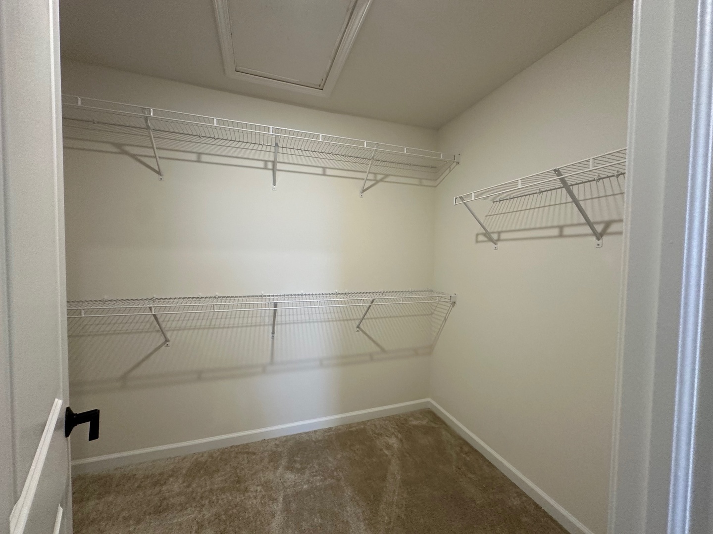 5955 Hawkweed Drive Naperville IL 60564