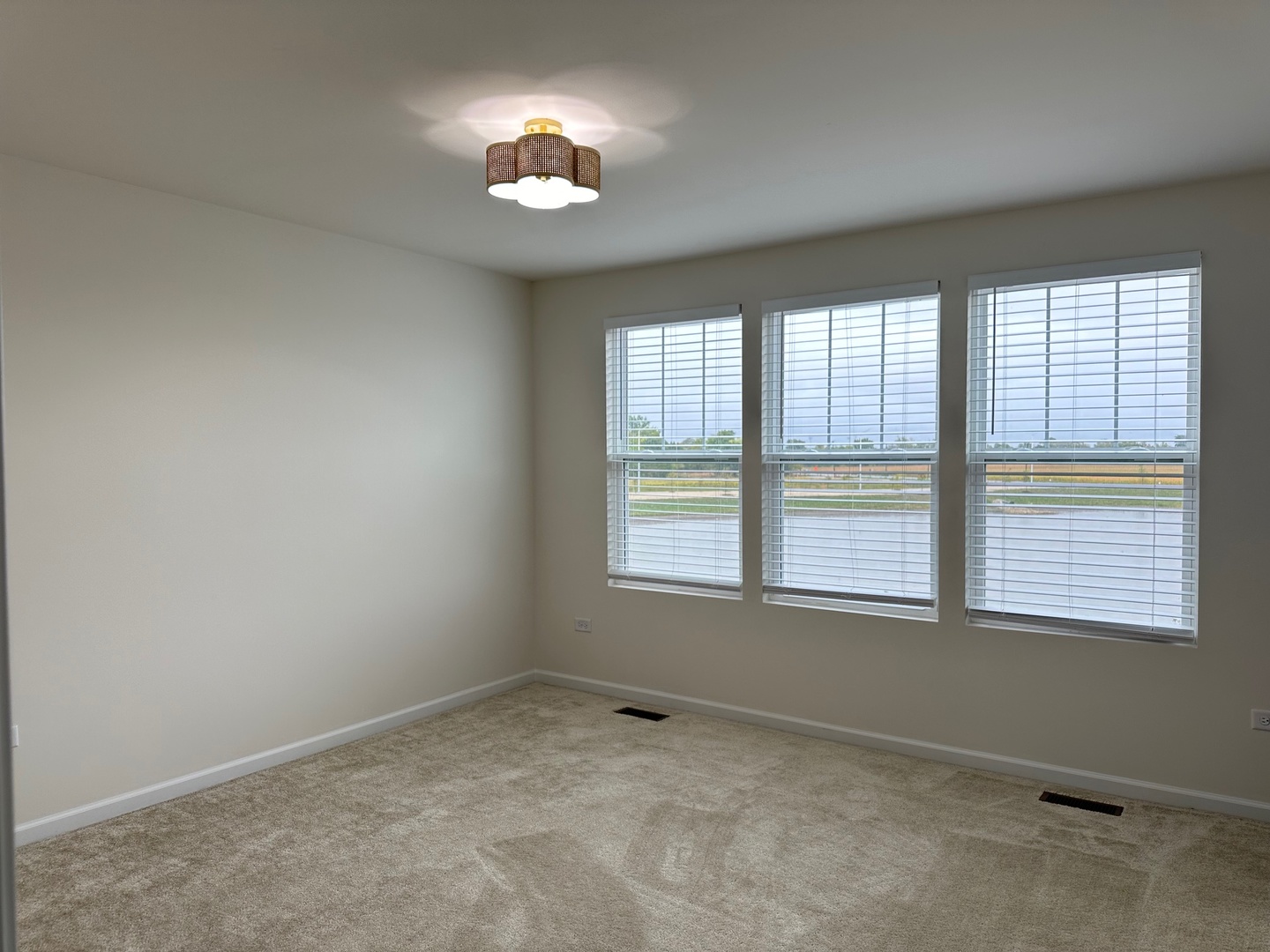 5955 Hawkweed Drive Naperville IL 60564
