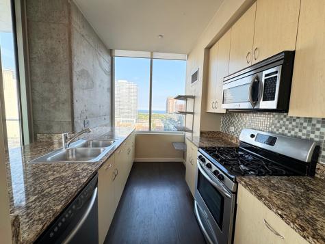 1720 South Michigan Avenue Chicago IL 60616