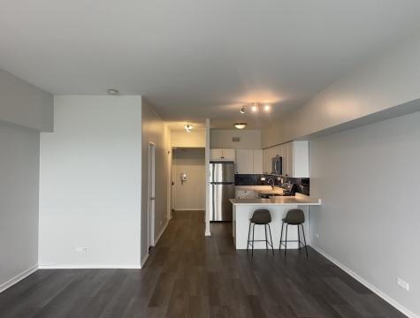 175 East Delaware Place Chicago IL 60611