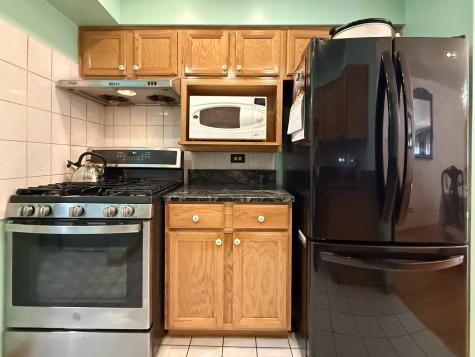2105 South Tan Court Chicago IL 60616