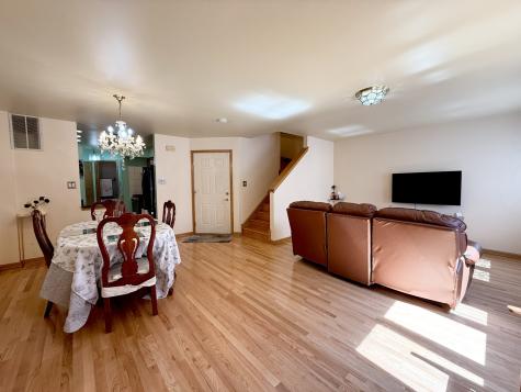 2105 South Tan Court Chicago IL 60616