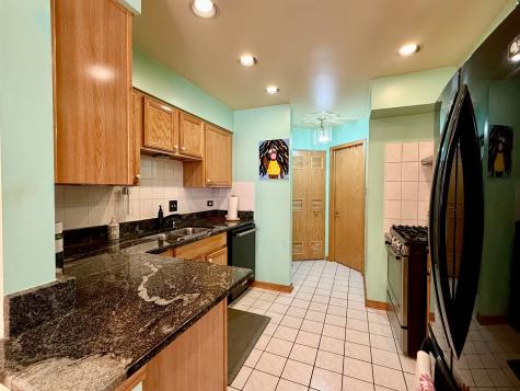 2105 South Tan Court Chicago IL 60616