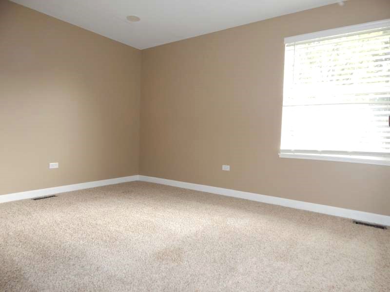 1216 Calico Avenue Naperville IL 60564