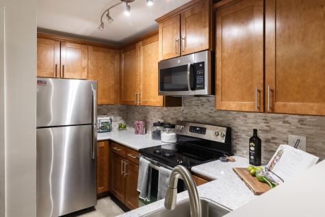 1681 East Green Briar Drive Schaumburg IL 60173