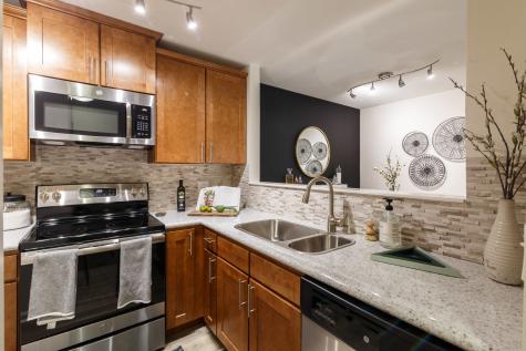 1681 East Green Briar Drive Schaumburg IL 60173