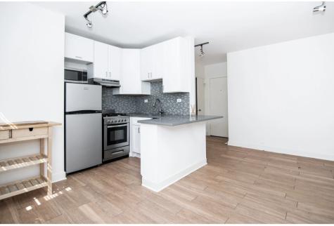 511 West Belmont Avenue Chicago IL 60657