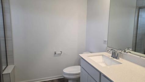 246 Cooney Way Oswego IL 60543