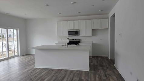 246 Cooney Way Oswego IL 60543