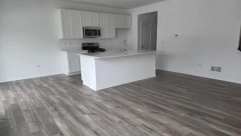 246 Cooney Way Oswego IL 60543