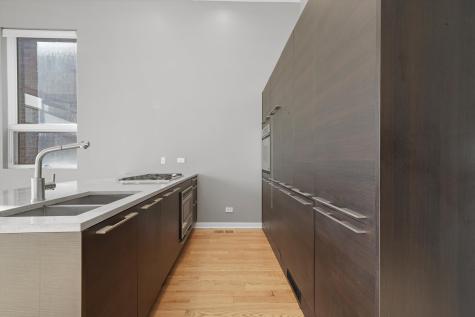 1541 North Bosworth Avenue Chicago IL 60624