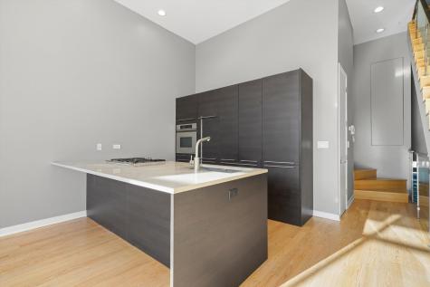 1541 North Bosworth Avenue Chicago IL 60624