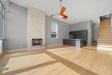 1541 North Bosworth Avenue Chicago IL 60624
