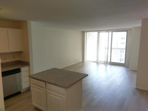 545 North Dearborn Street Chicago IL 60654