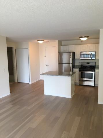 545 North Dearborn Street Chicago IL 60654