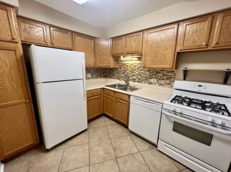 1461 North Winslowe Drive Palatine IL 60074
