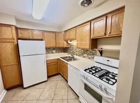 1461 North Winslowe Drive Palatine IL 60074