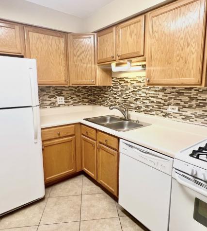 1461 North Winslowe Drive Palatine IL 60074