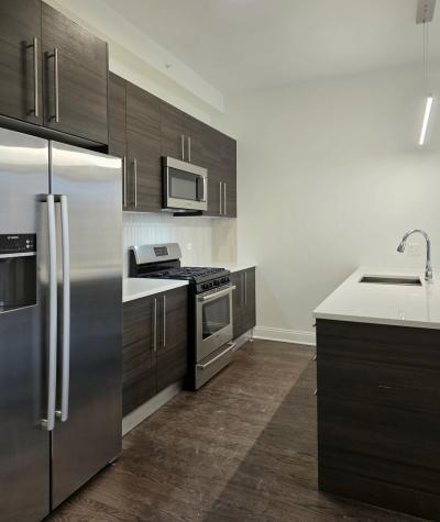 1537 North Orleans Avenue Chicago IL 60610