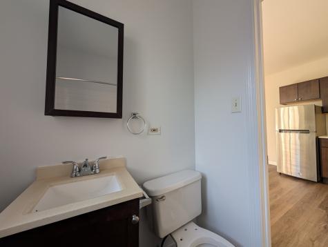 1627 North Humboldt Boulevard Chicago IL 60647