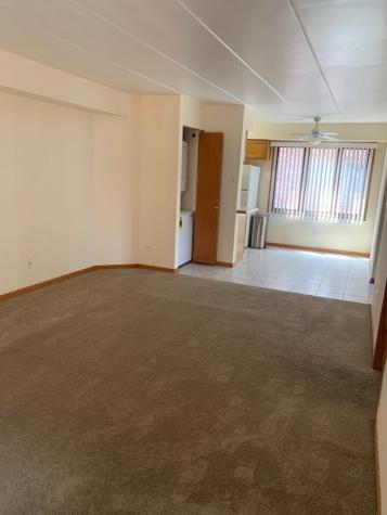 10541 Parkside Avenue Chicago Ridge IL 60415