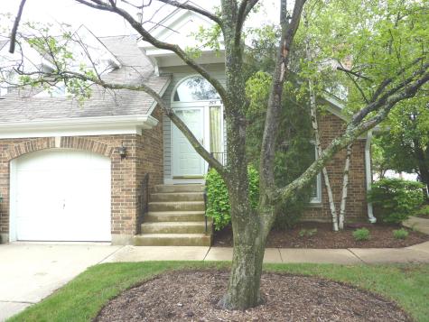 265 Willow Parkway Buffalo Grove IL 60089