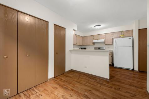 1429 Orleans Drive Mundelein IL 60060