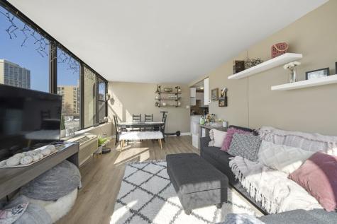 345 East Eastgate Place Chicago IL 60616