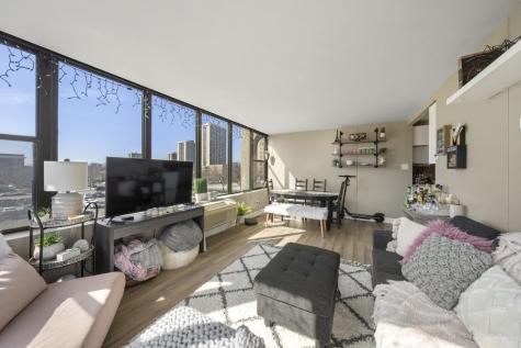 345 East Eastgate Place Chicago IL 60616
