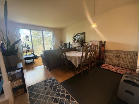 348 Fallbrook Court Schaumburg IL 60194