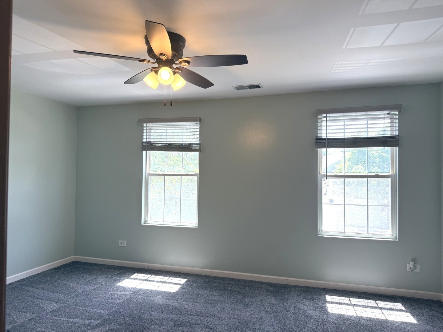 4013 Oak Tree Lane Plainfield IL 60586