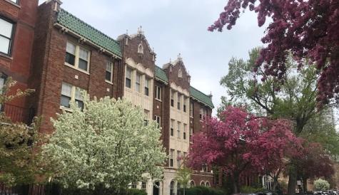 1824 North Lincoln Park West Chicago IL 60614