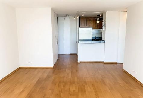 70 West Burton Place Chicago IL 60610