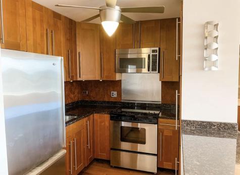 70 West Burton Place Chicago IL 60610
