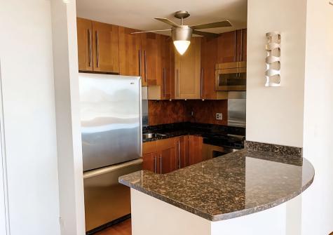 70 West Burton Place Chicago IL 60610