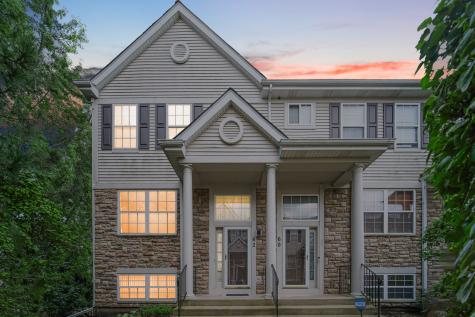 62 East Clare Court Palatine IL 60067