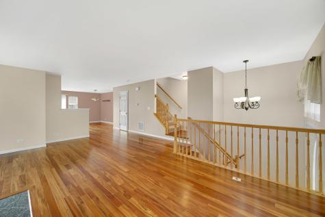 62 East Clare Court Palatine IL 60067