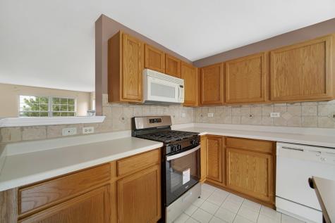 62 East Clare Court Palatine IL 60067